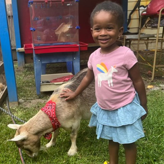 Small children playing with a goat.